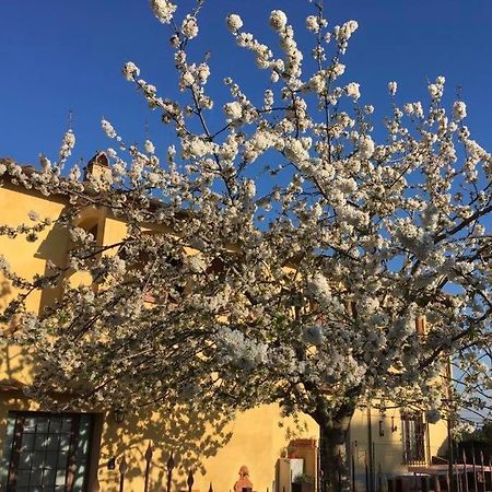 Bed and Breakfast La Loggia Del Ciliegio In Chianti Montespertoli Exterior foto